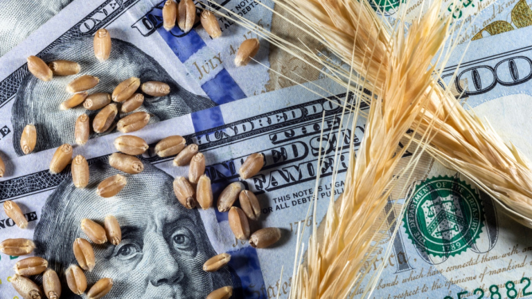 July WASDE Calls for Lower Corn and Higher Soybean Ending Stocks