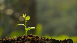 SC Commissioner Weathers: Soil and Water Conservation District Stewardship Week