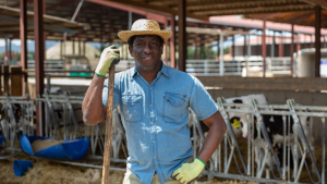 What Sustainability Means for the Beef Industry