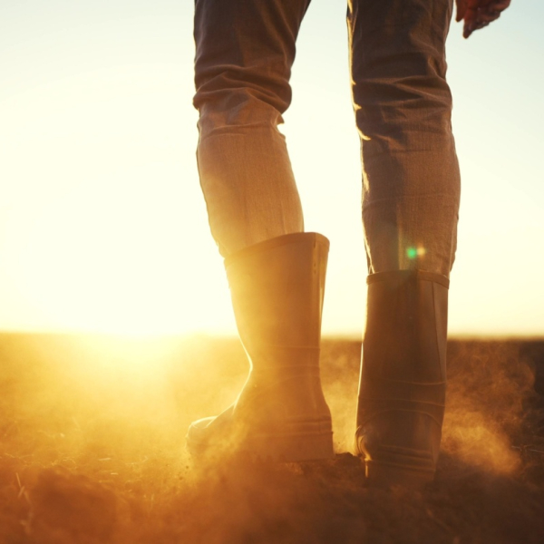 SC Commissioner Weathers: Entire State Now Classified in Drought