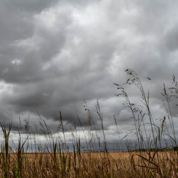 Spotty Rains Welcomed over Weekend, but More is Needed