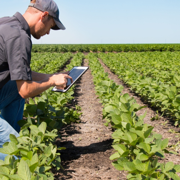 NC Commissioner Troxler: Three New Regional Agronomists Hired