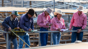 Practices That Pay Off at the Cattle Sale