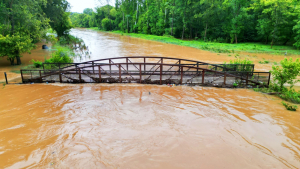 Weathers Assesses Impact of TS Debby