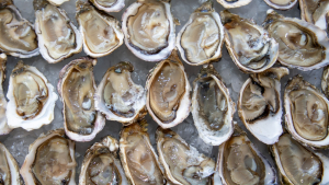 SC Commissioner Weathers: Lowcountry Oyster Co. to Expand Production