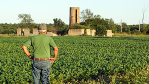 Big Crops, Good August Weather, and Marketing