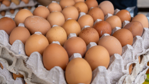 Eggs Living Up to Their Reputation as a Volatile Product