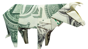 USDA Cattle on Feed Report: There’s Money to be Made