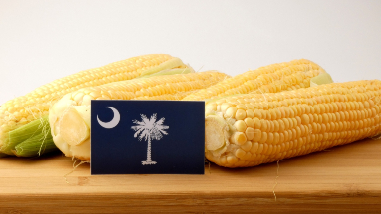 SC Commissioner Weathers: SC Corn Checkoff