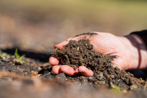 Biostimulants and Improving Soil Health for Future Productivity