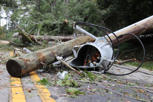 South Carolina Ag Damage Likely Hundreds of Millions of Dollars