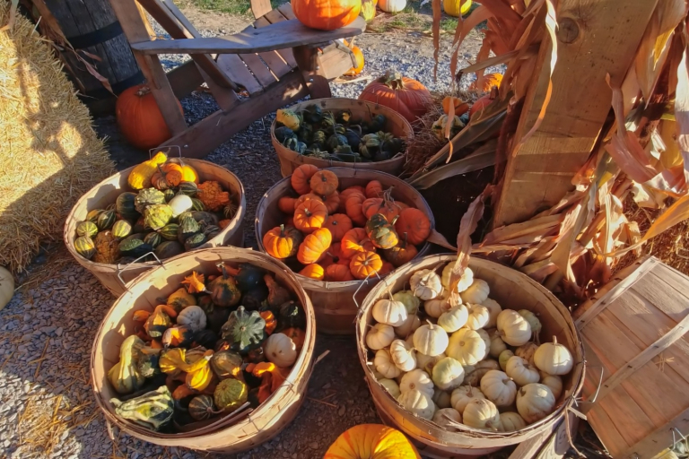 SC Commissioner Weathers: Fall is Agritourism Season