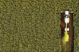 October Crop Production Forecast Highlights