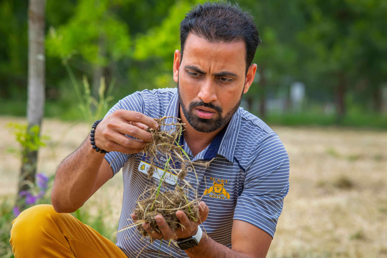 USDA Grant Fuels N.C. A&T, N.C. State Organic Crop Research Collaboration