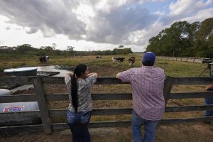 Understanding the Dairy Markets Can Be Challenging