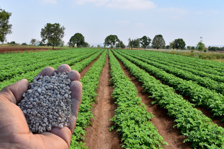 China Keeping Most of its Fertilizer Production for Domestic Use