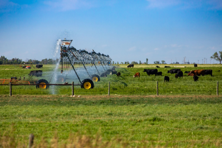 Preparing to Take on Heat Stress in Cattle