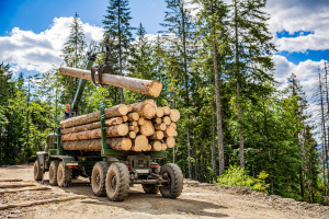 SC Forestry Facing Market Challenges