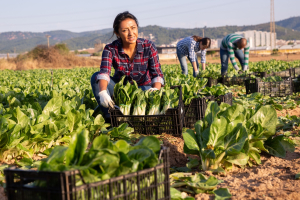 Newhouse: Now is the Right Time to Fix the H2A Program for Good