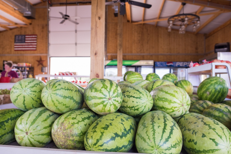 SC Commissioner Weathers: 2025 Watermelon Season!