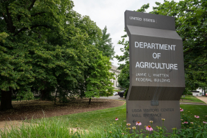 Rollins Terminates COVID-era Program