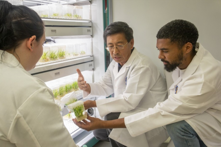 Patent-Winning Horticulturist Yang Named ‘HortLegend’