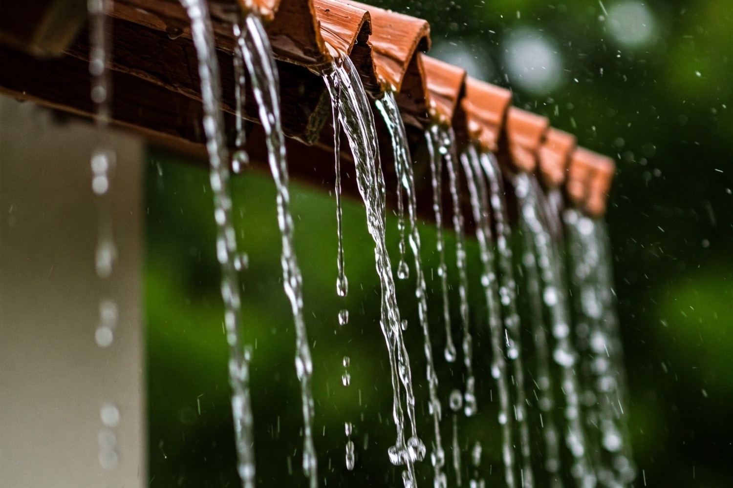 Rain and Cooler Temps Have Been Welcomed By All