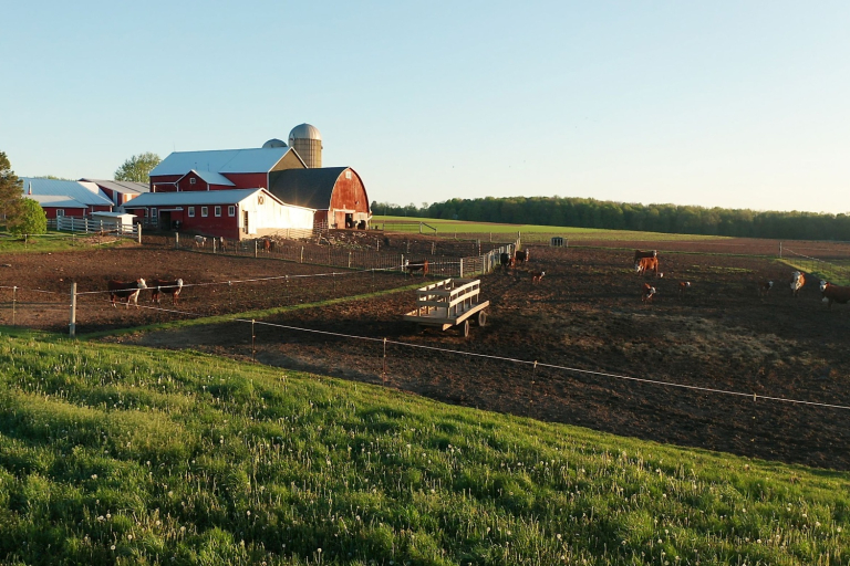 USDA’s Latest Look at Ag Land Values and Cash Rents