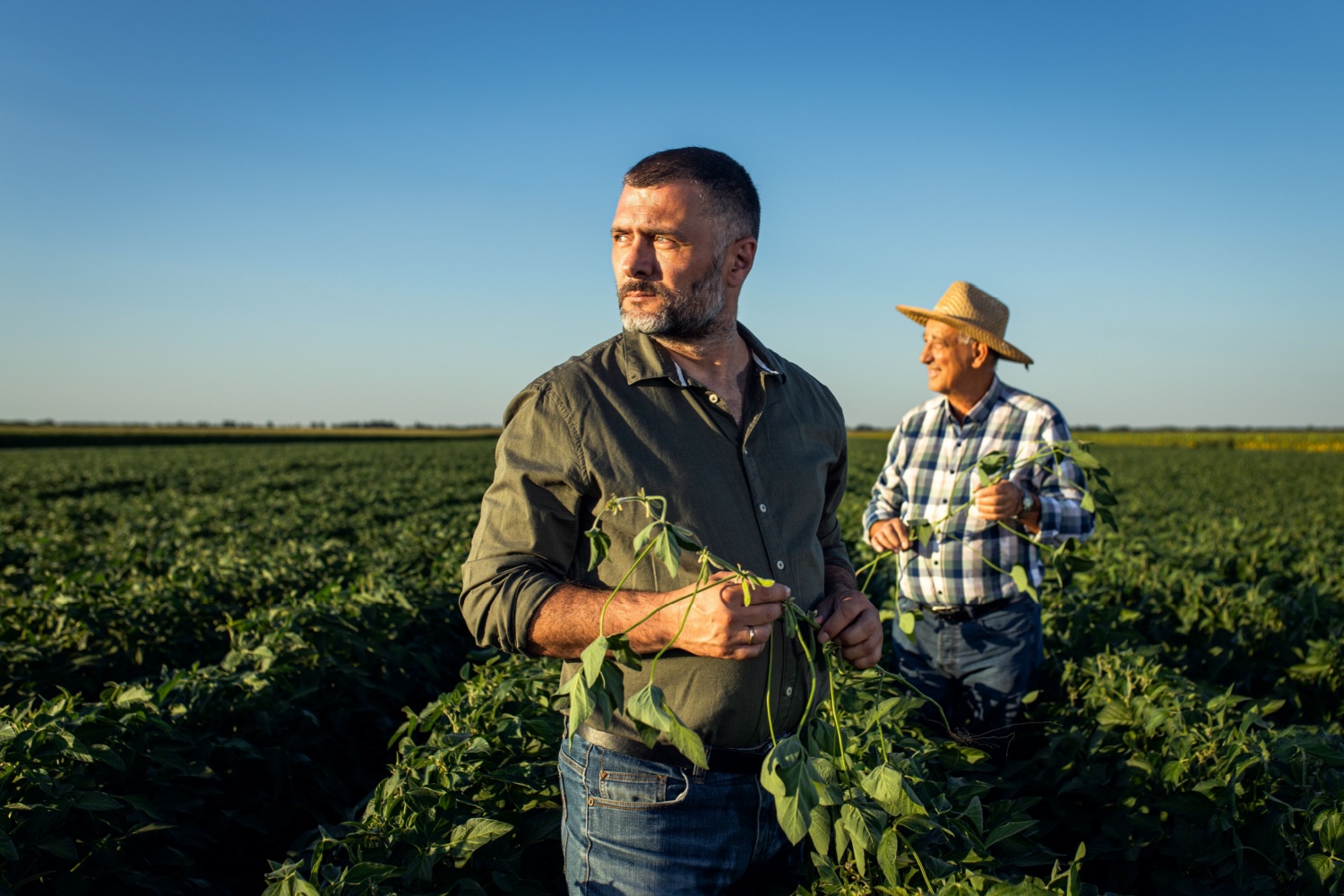 Crops are Promising, but Yields Need to be Protected