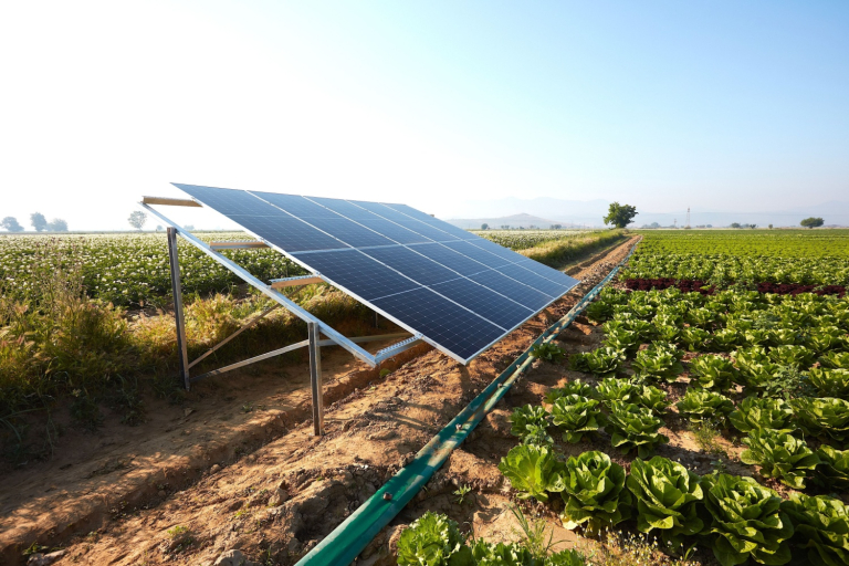 Secretary Rollins Blocks Taxpayer Dollars for Solar Panels on Prime Farmland