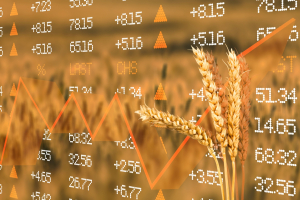 Facing the Future During Economic Uncertainty