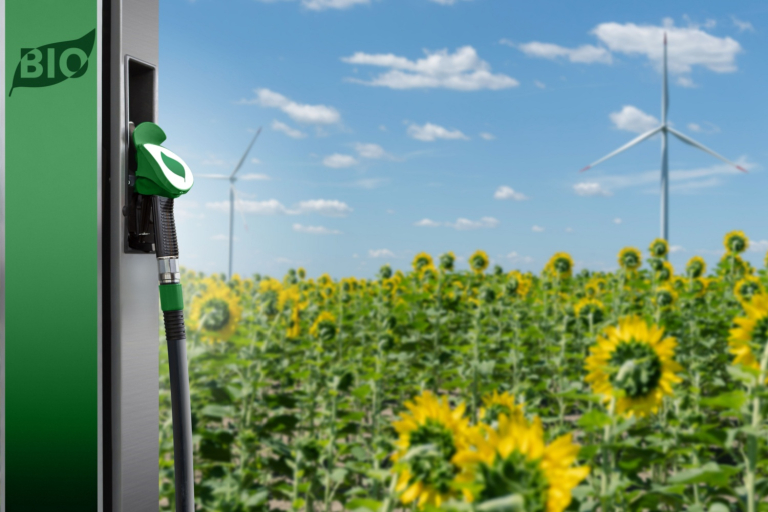 Update on RFS Related Items