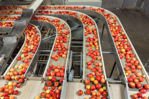 North Carolina Opens Applications for $8M Agriculture Manufacturing Initiative