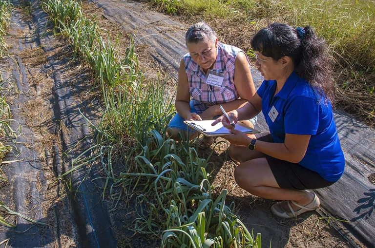 Agriculture Business Innovation Center at N.C. A&T to Kick Off with Two-Day Event