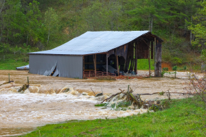 USDA Announces $221.2 Million Grant Agreement to Cover Agricultural Losses in North Carolina