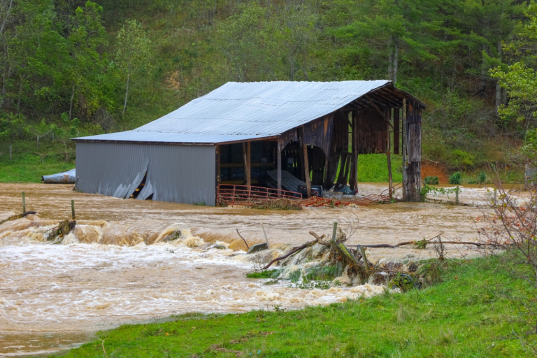 USDA Announces $221.2 Million Grant Agreement to Cover Agricultural Losses in North Carolina