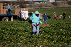UC Davis Clear Center is Working For A Better Tomorrow