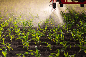 Biostimulants a Great Way for Farmers to Stretch Their Dollar