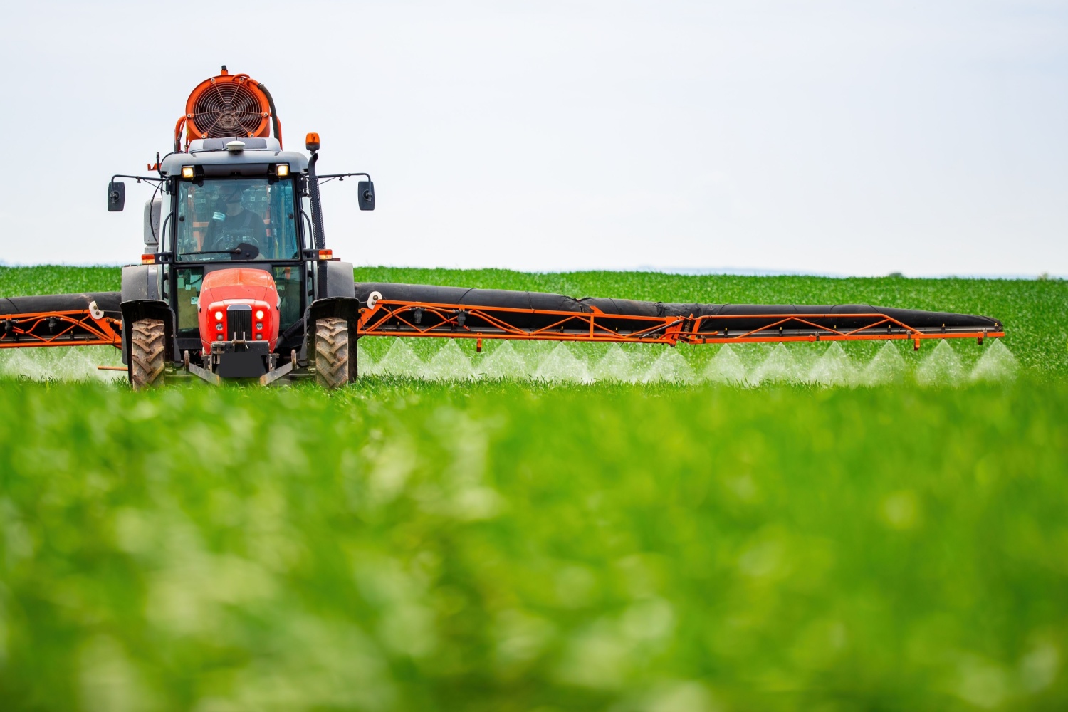 Don’t Let Your Disease Guard Down at Harvest Time