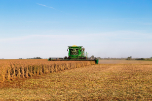 The Long-Run Evolution of The Soybean Crush