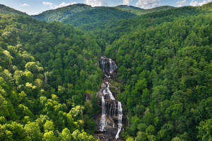 Restoration of National Forest Amenities