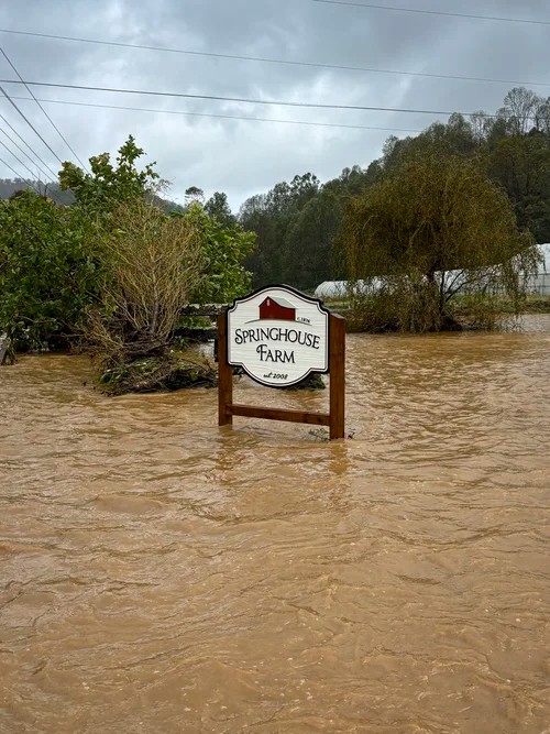 One Year After Helene: WNC Farmers Still Rebuilding, with Help from Community