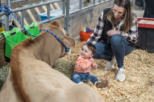 Don’t Forget to Maintain Current Progress in Dairy Export Markets