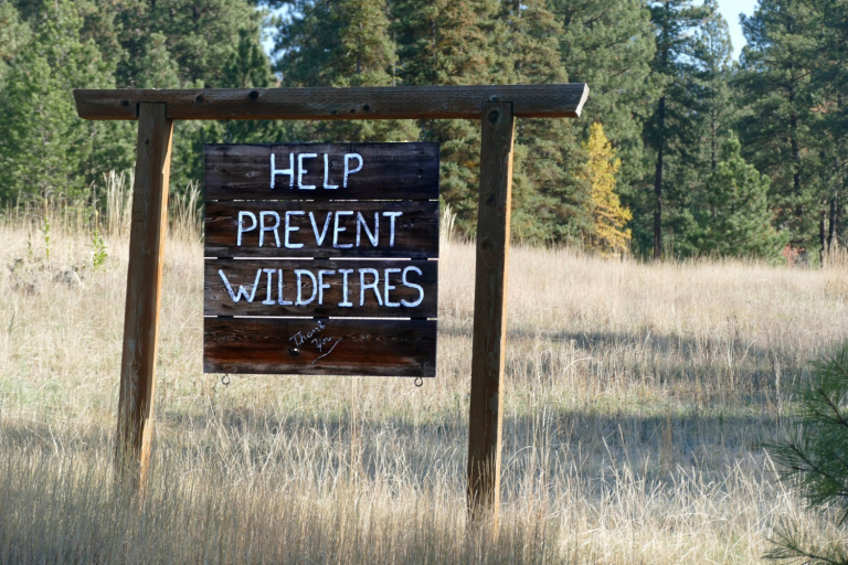 N.C. Forest Service calls on the public to prepare for wildfire, prevent wildfire