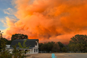 Details on ELRP Phase Two Sign- Up