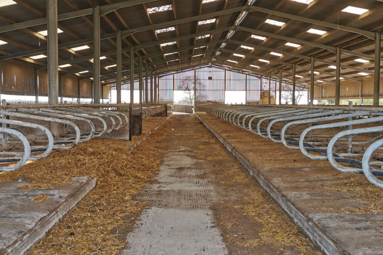 Farm Bankruptcies Soaring in 2025