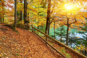 September’s Dry Spell Deepens Carolina Drought