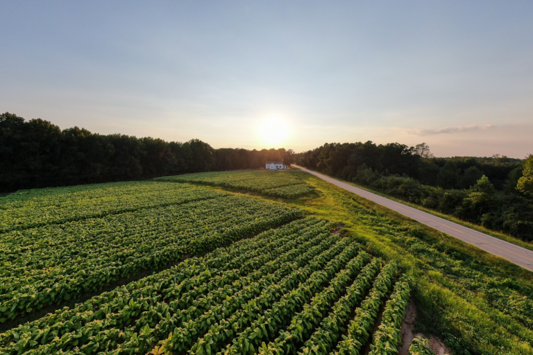 Rep. Don Davis Urges Federal Action to Aid North Carolina Tobacco Farmers Amid Collapse of Exports to China