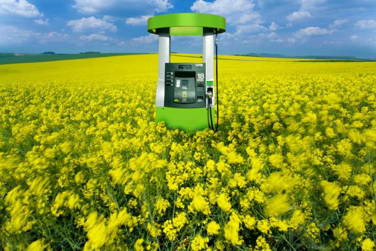 New Opportunities at the Global Ethanol Summit