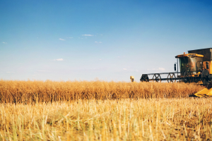 Farm Assistance is a “National Security Issue”